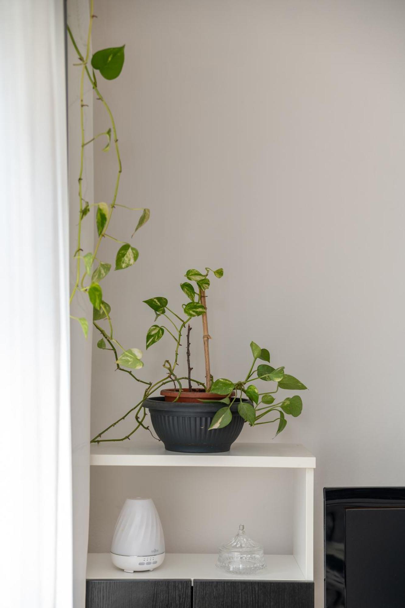 Apartman Milijana Fažana Extérieur photo